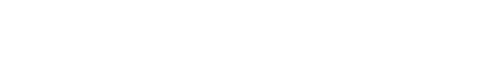 Disney case study